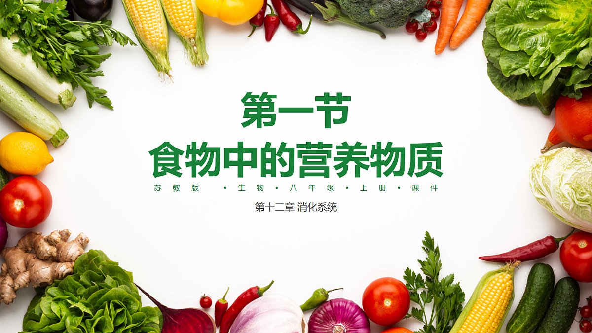 18163480第1页
