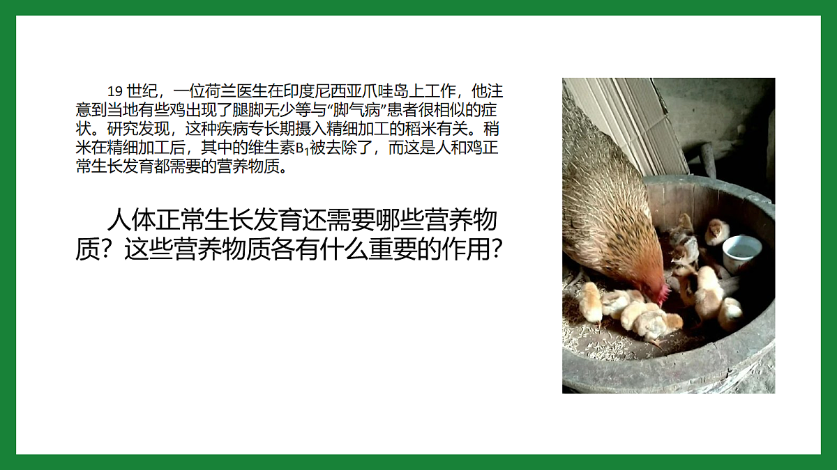 18163480第2页