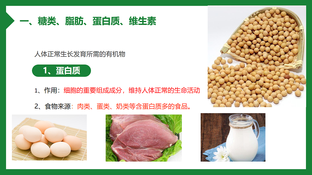18163480第4页