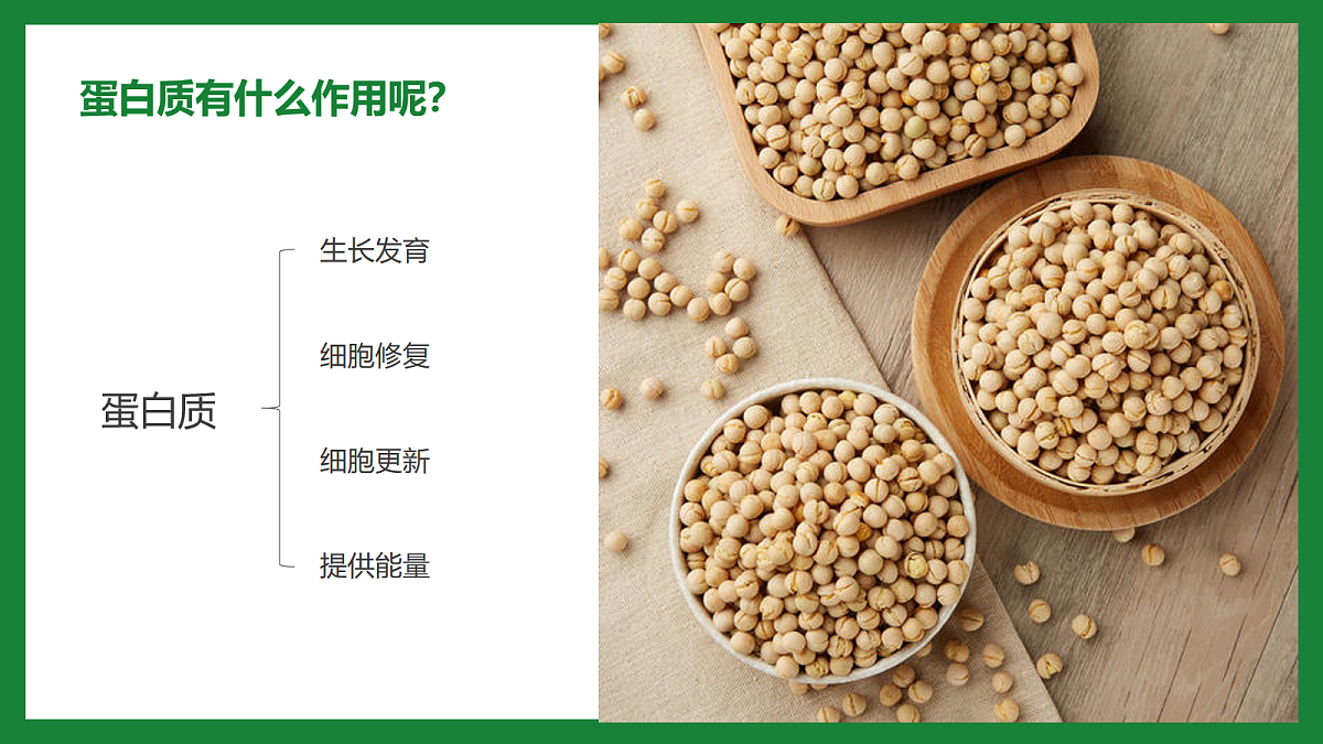 18163480第5页