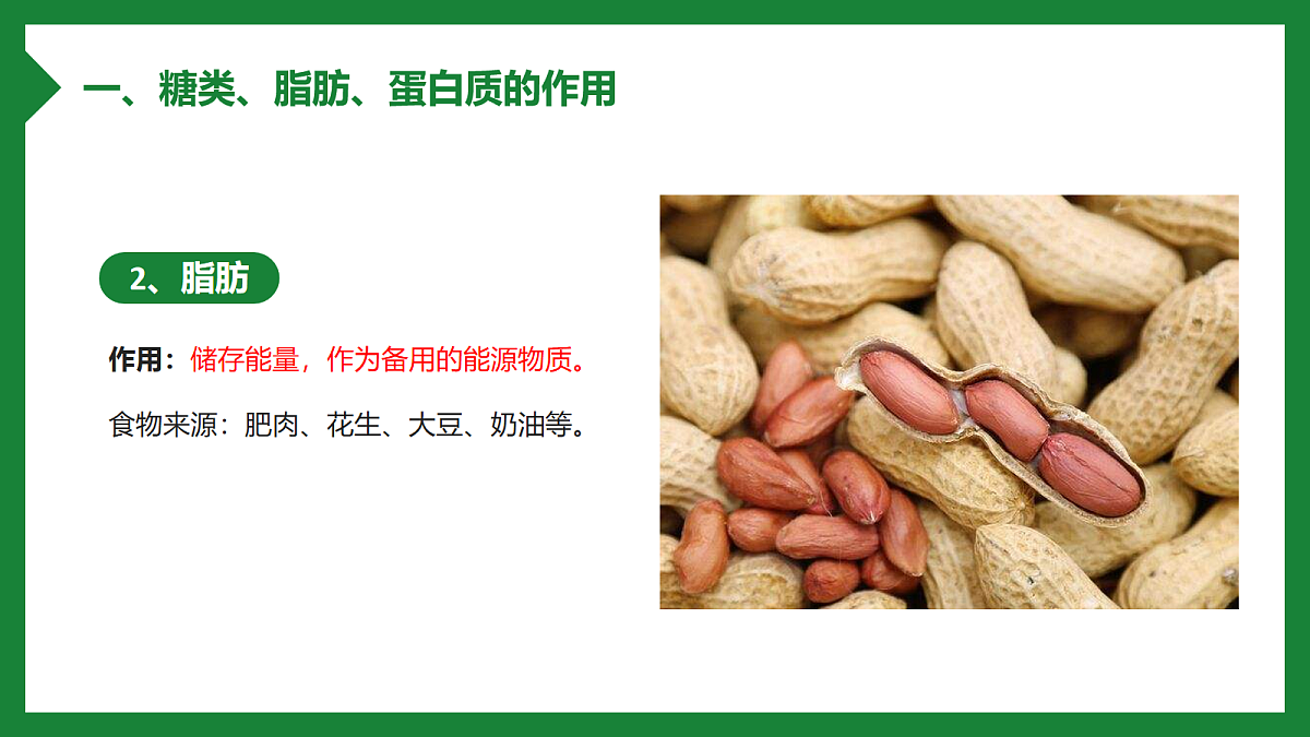 18163480第7页