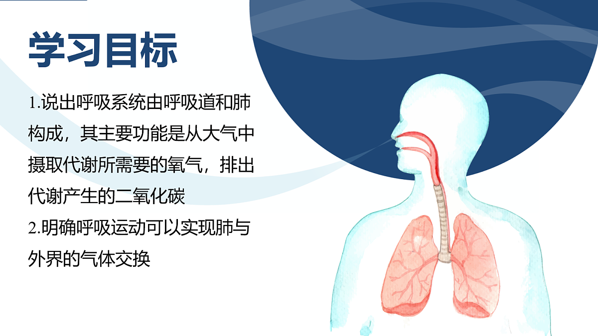 18163486第3页