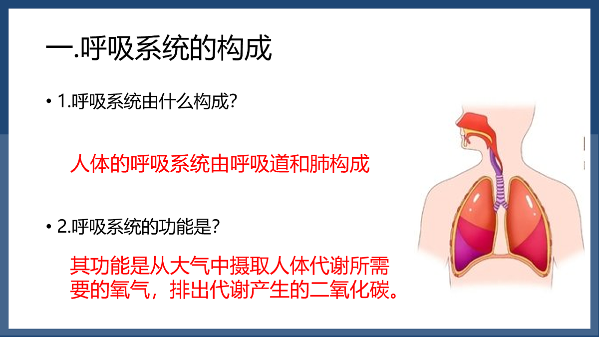 18163486第4页