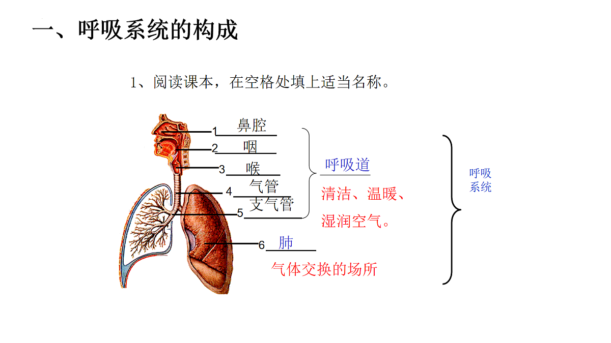 18163486第5页