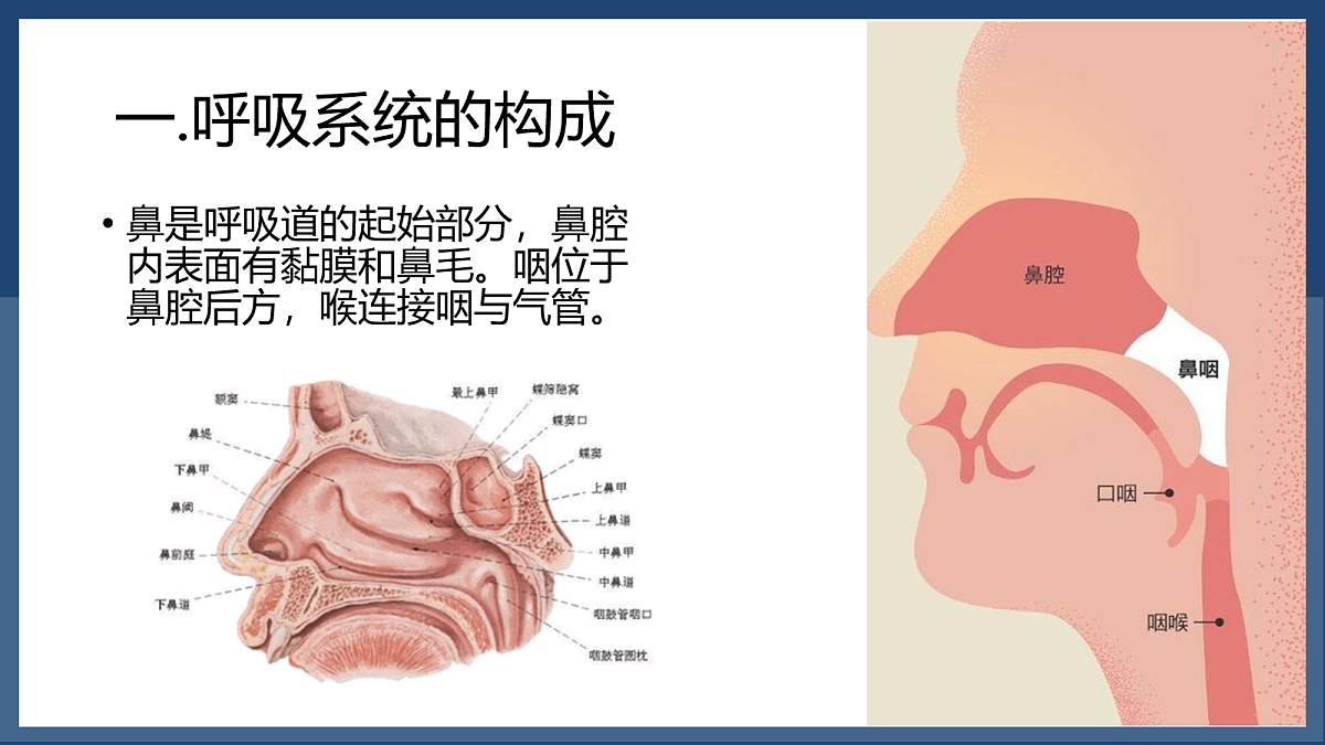 18163486第6页