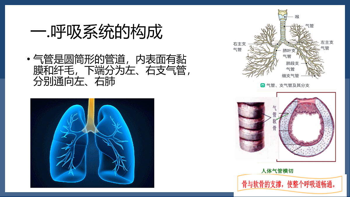 18163486第7页