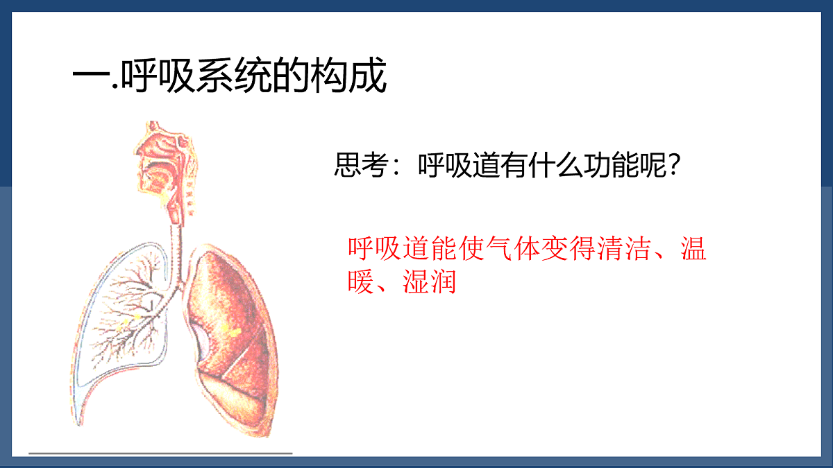 18163486第8页