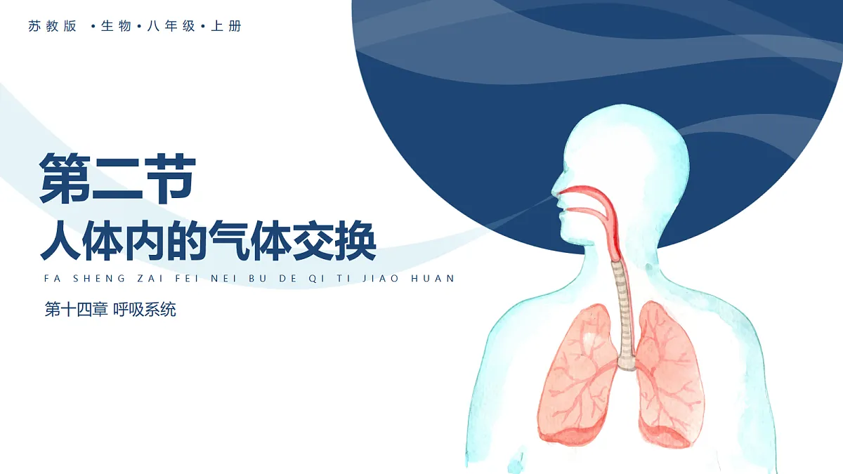 18163487第1页