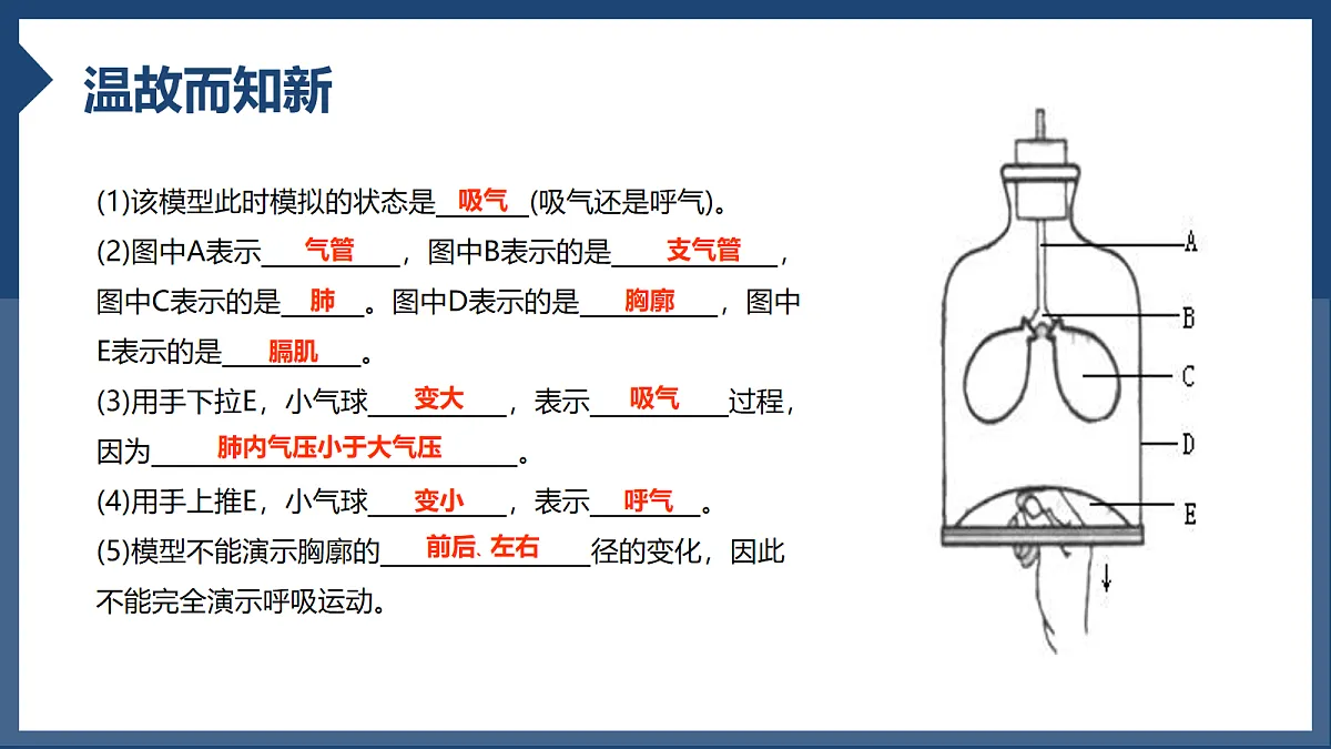 18163487第2页