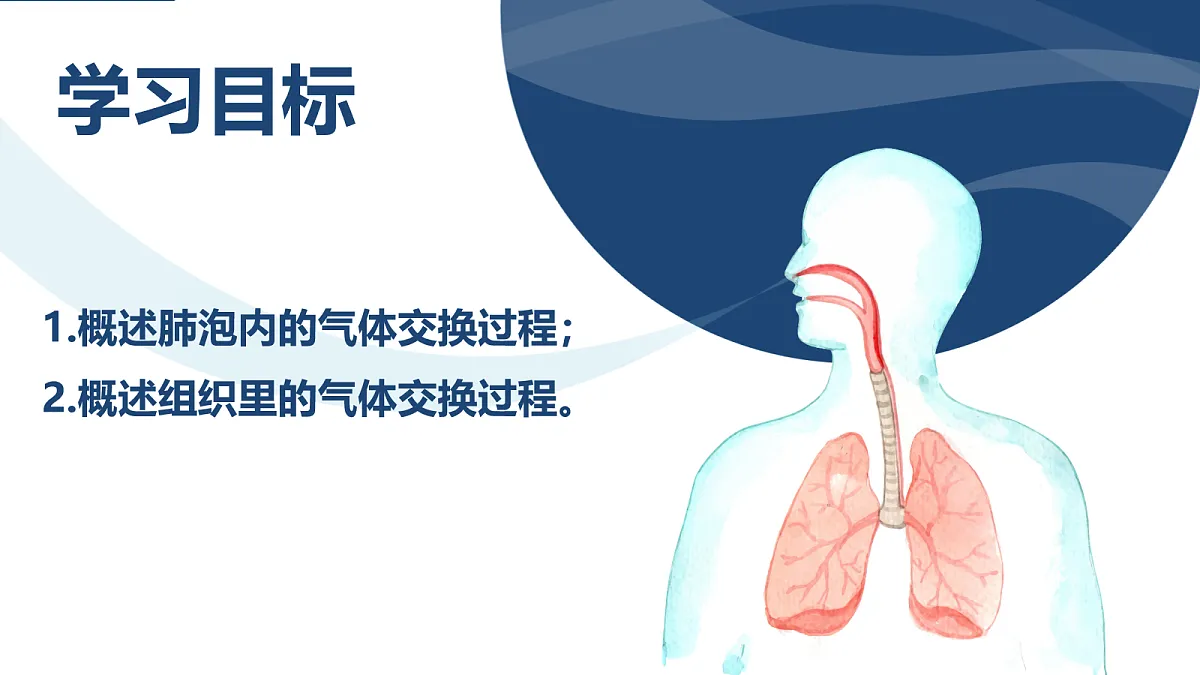 18163487第4页