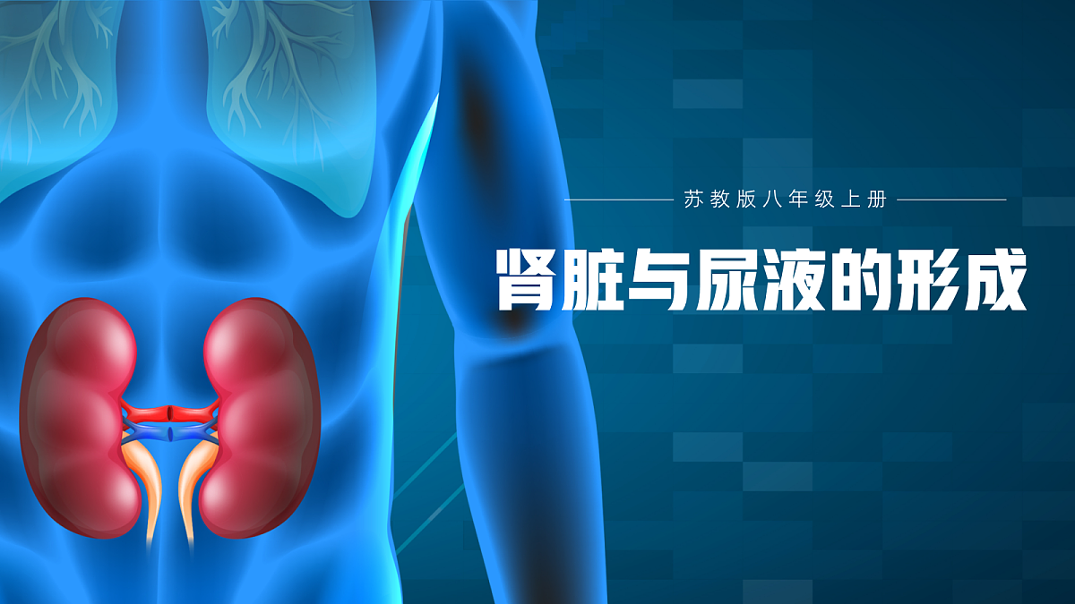 18163519第1页