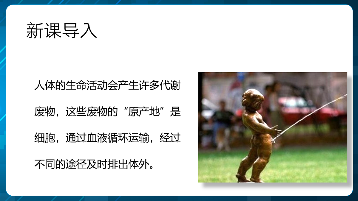 18163519第2页