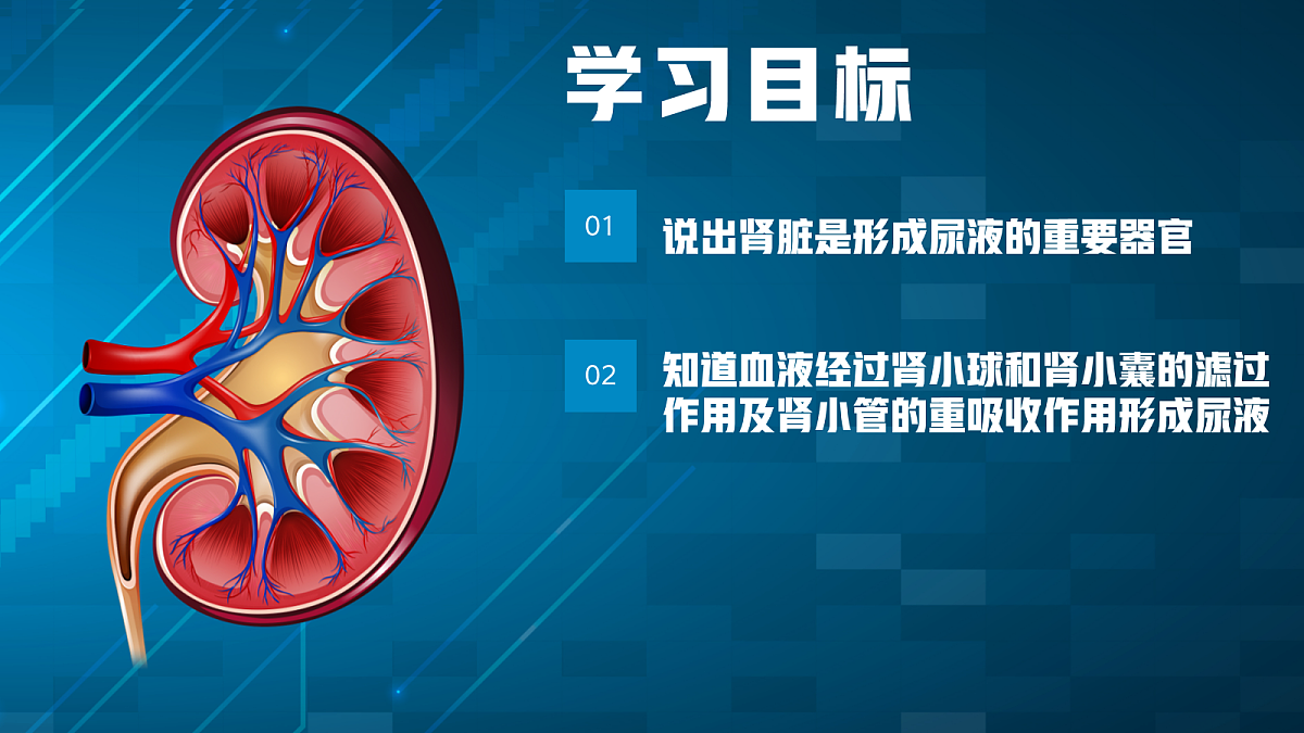 18163519第3页