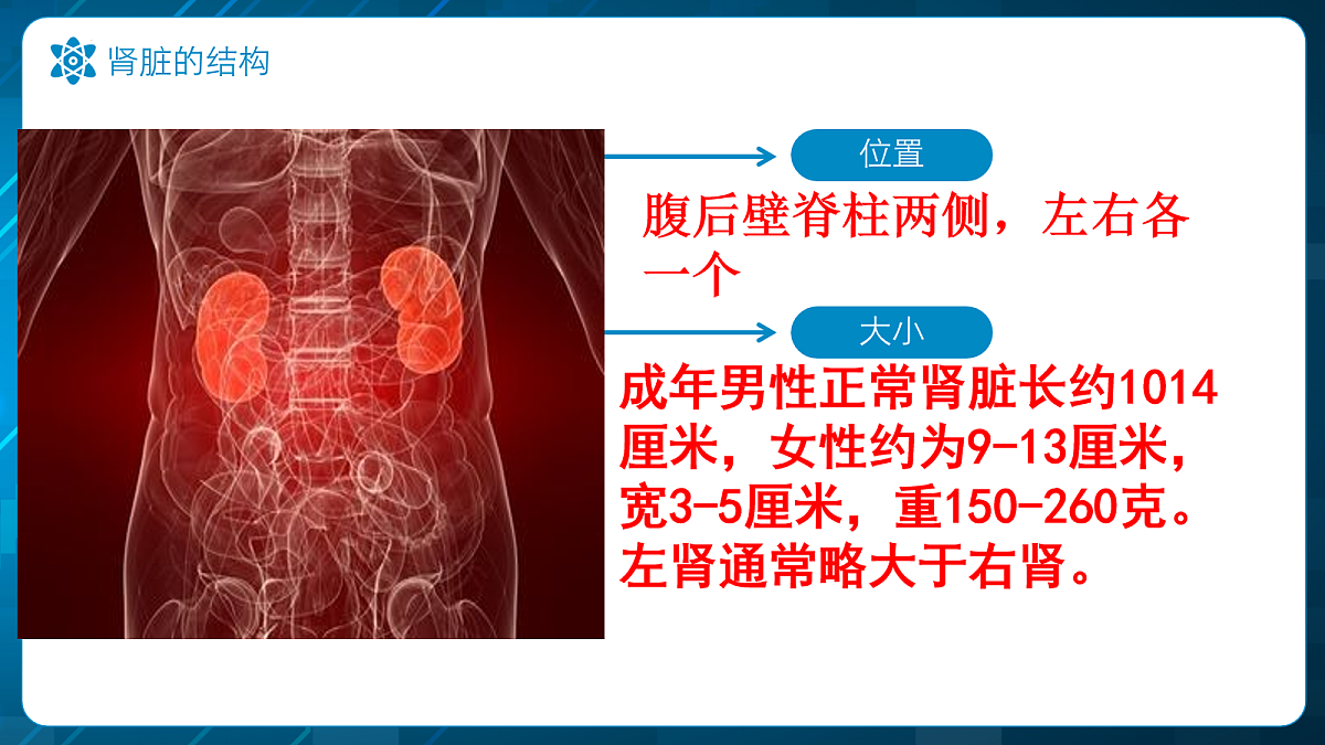18163519第5页
