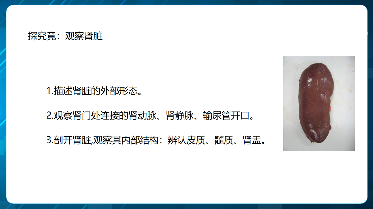 18163519第6页