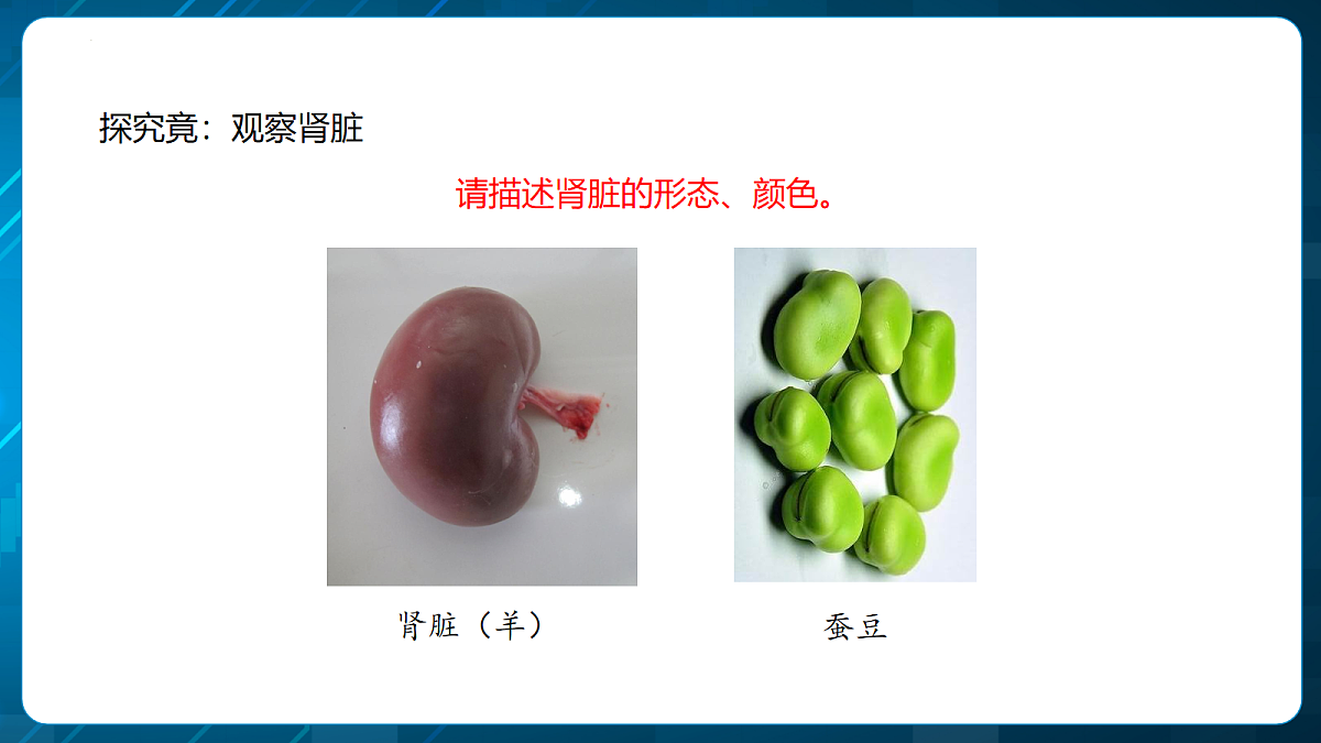 18163519第7页