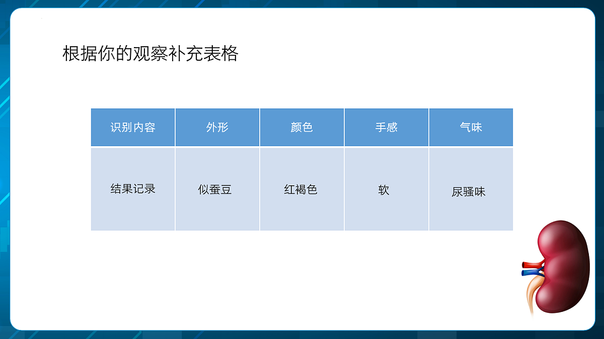 18163519第8页