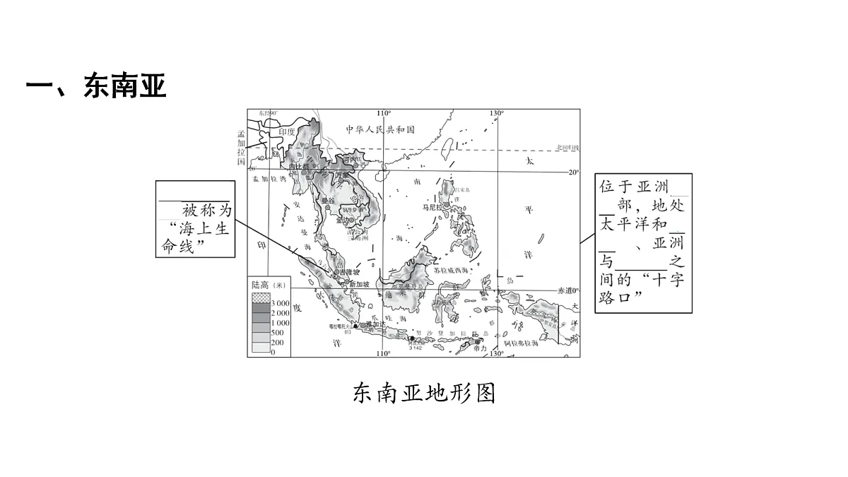 18163703第2页