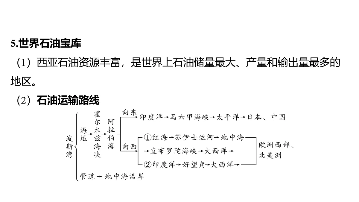18163703第7页