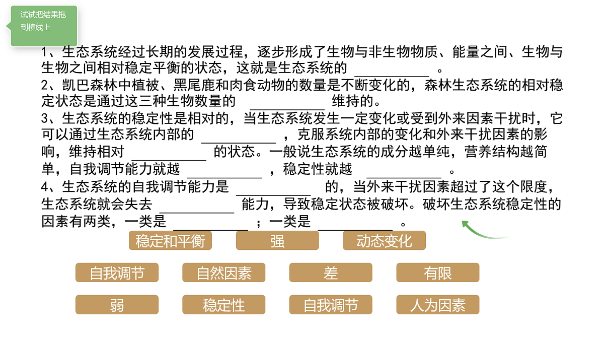 18164336第2页
