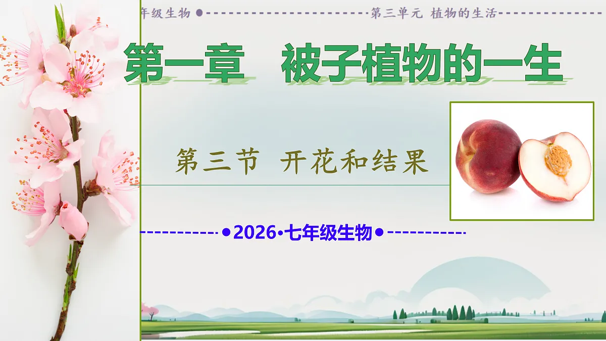 18164428第1页