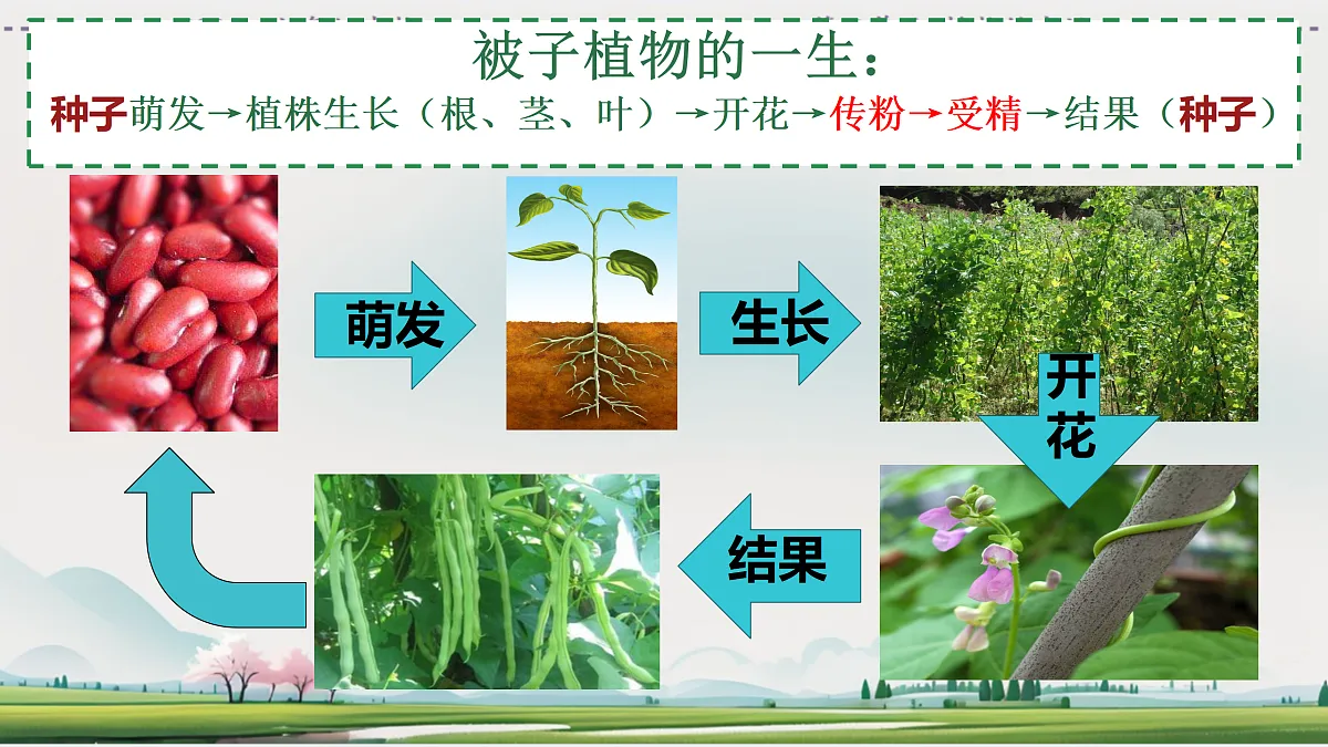 18164428第2页