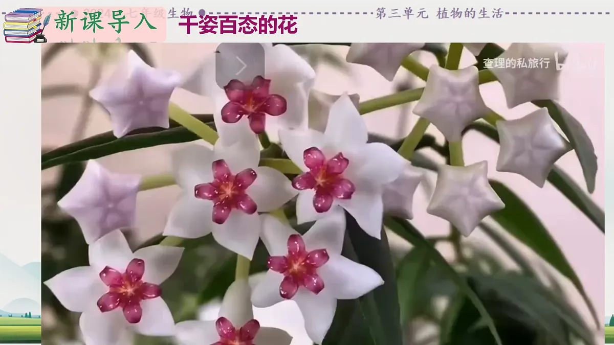 18164428第4页