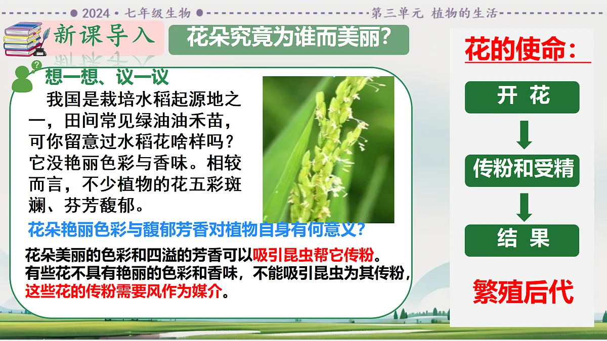 18164428第5页