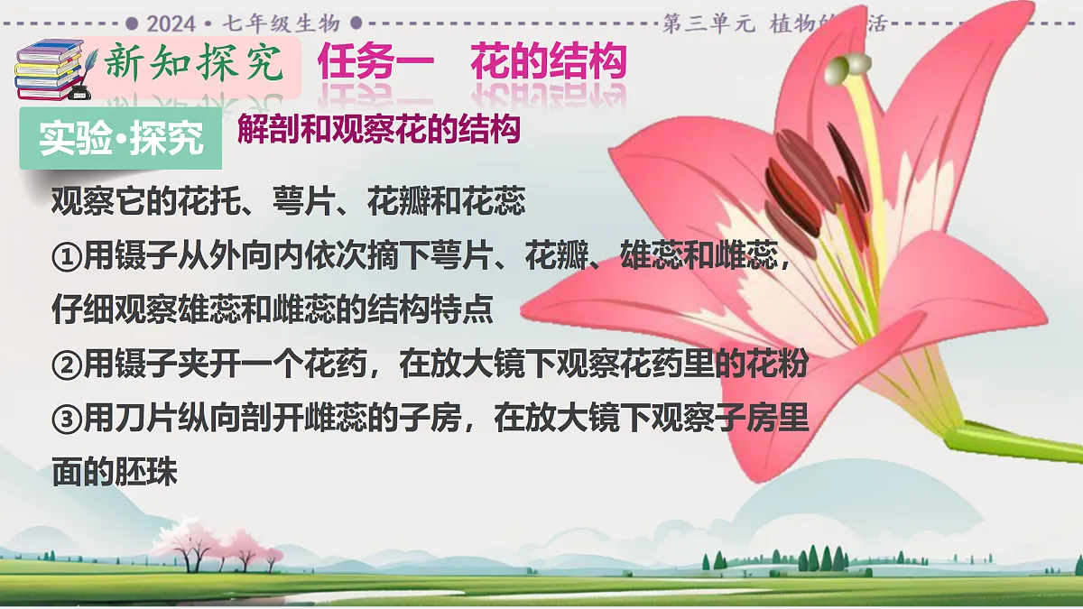 18164428第6页