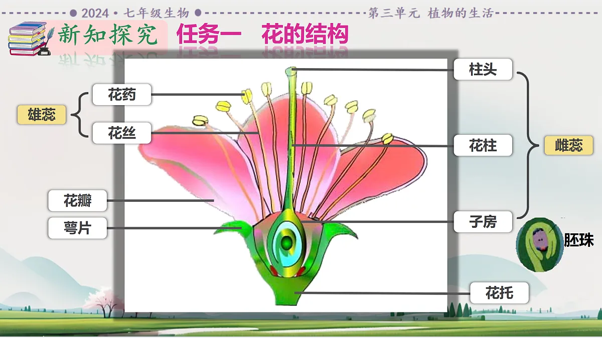 18164428第7页