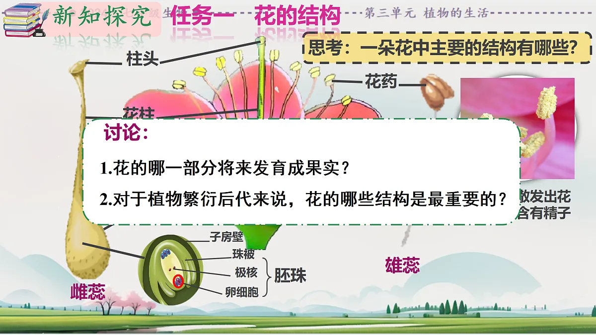 18164428第8页