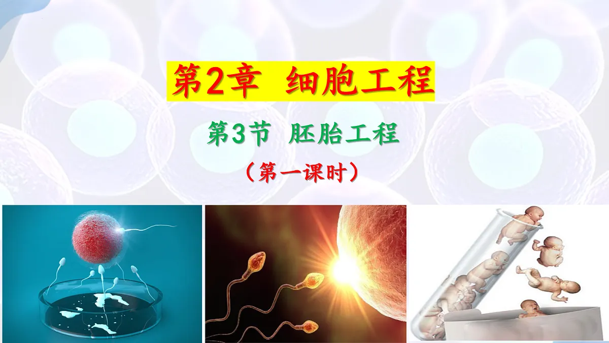 18164643第1页