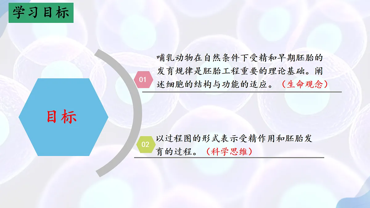 18164643第2页
