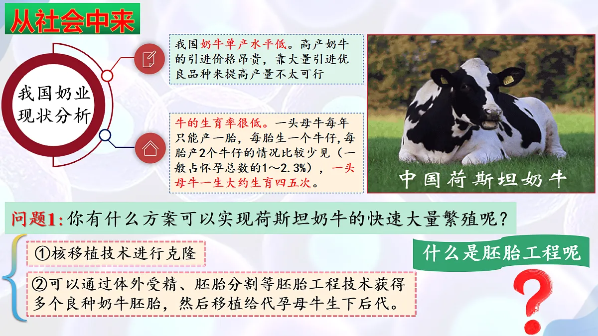 18164643第3页