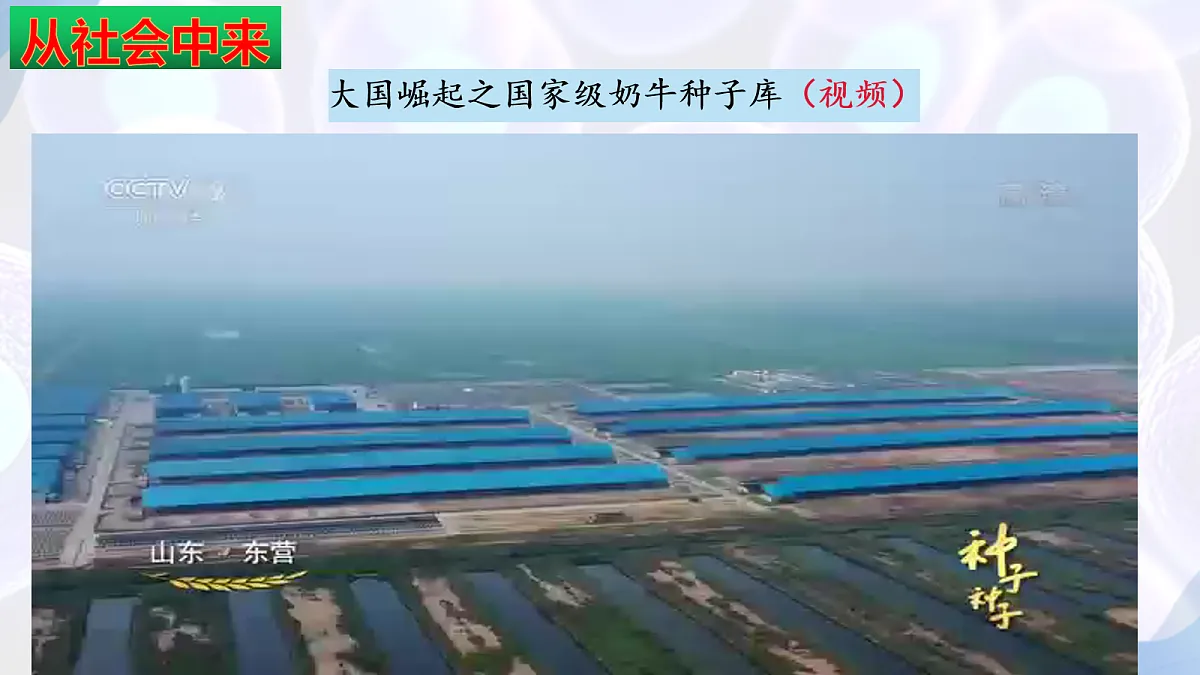 18164643第4页
