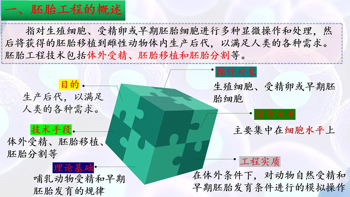 18164643第5页