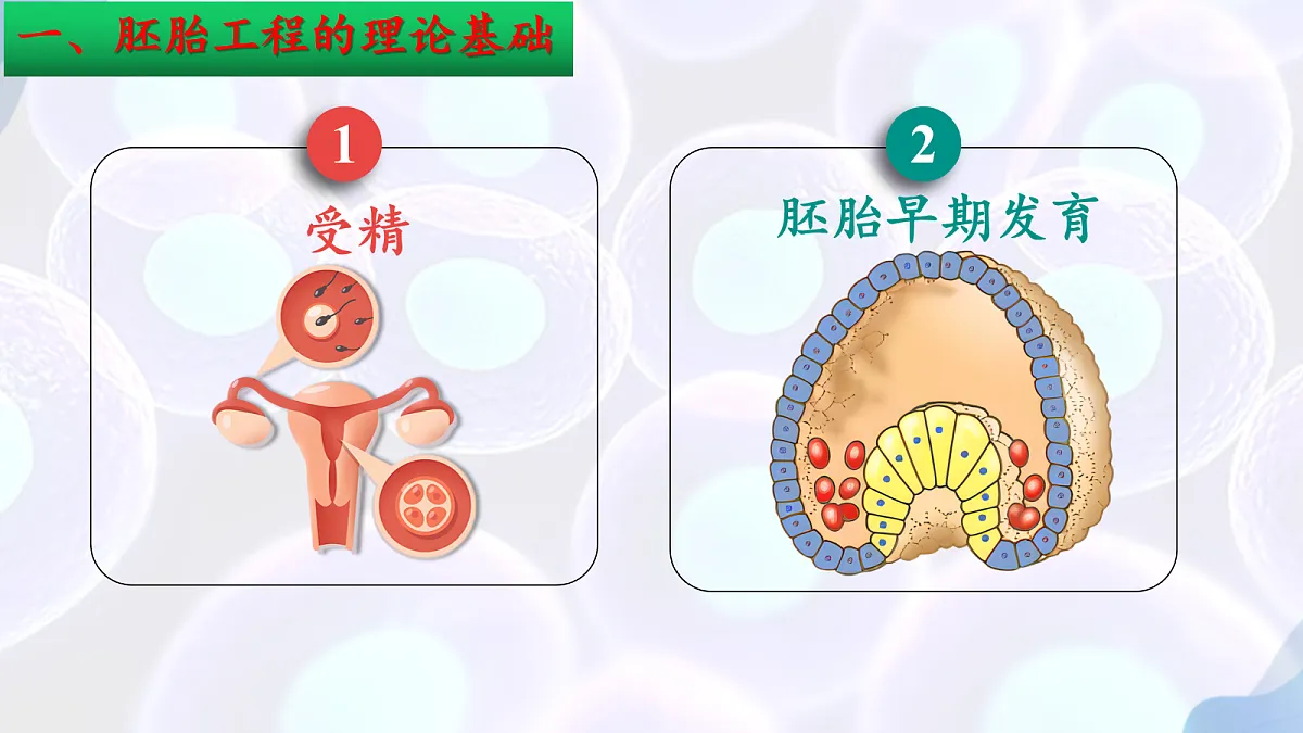 18164643第6页