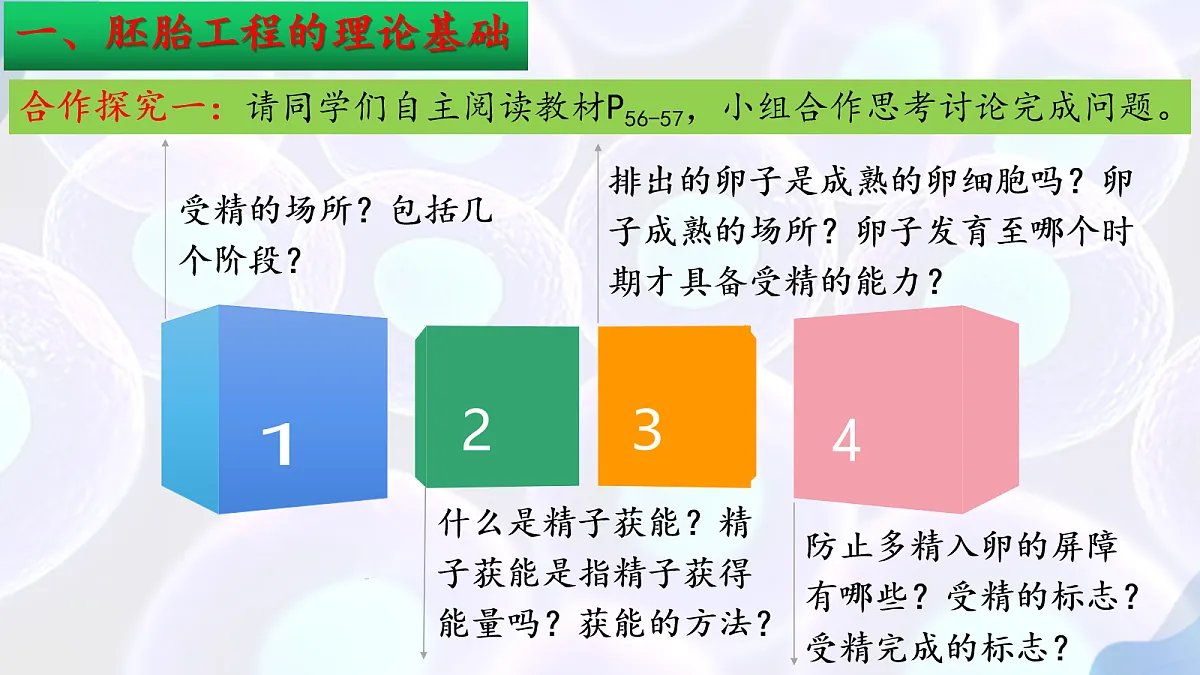 18164643第7页