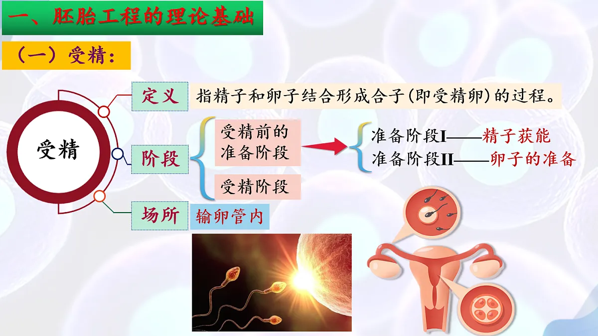18164643第8页