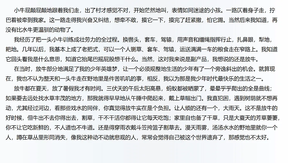 18164705第8页