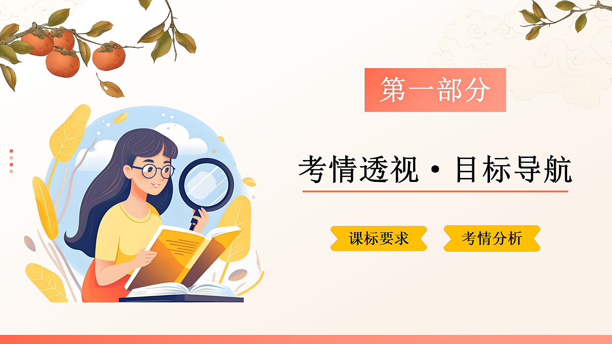 18164844第3页