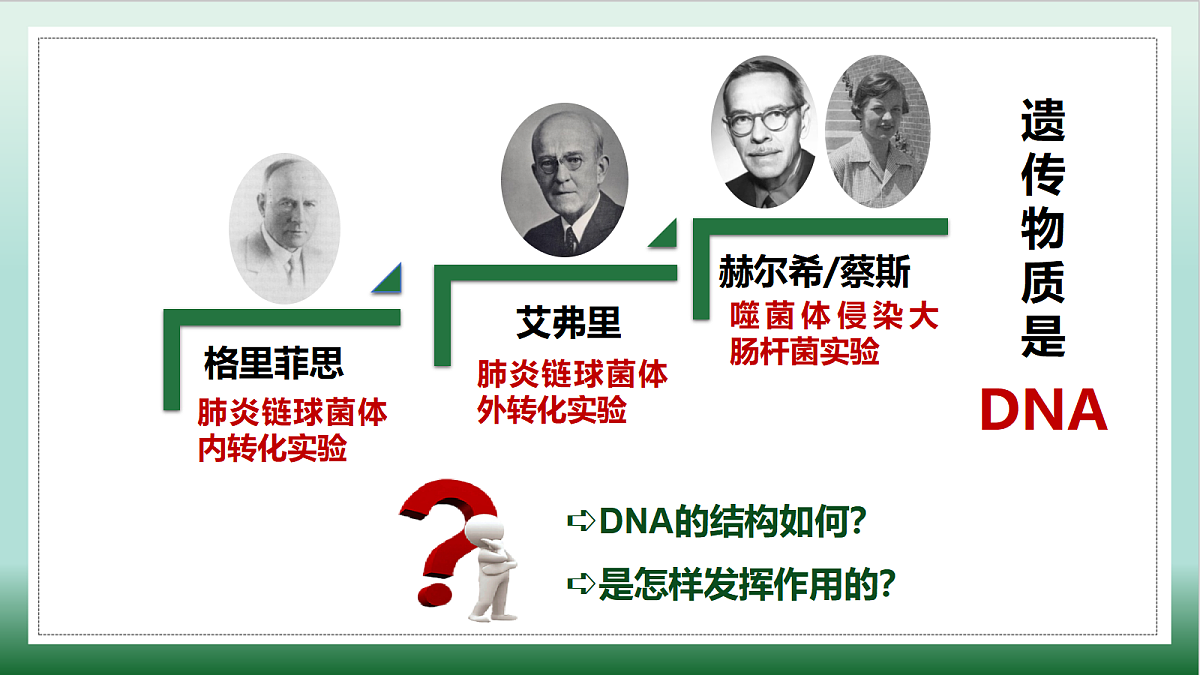 18164874第5页