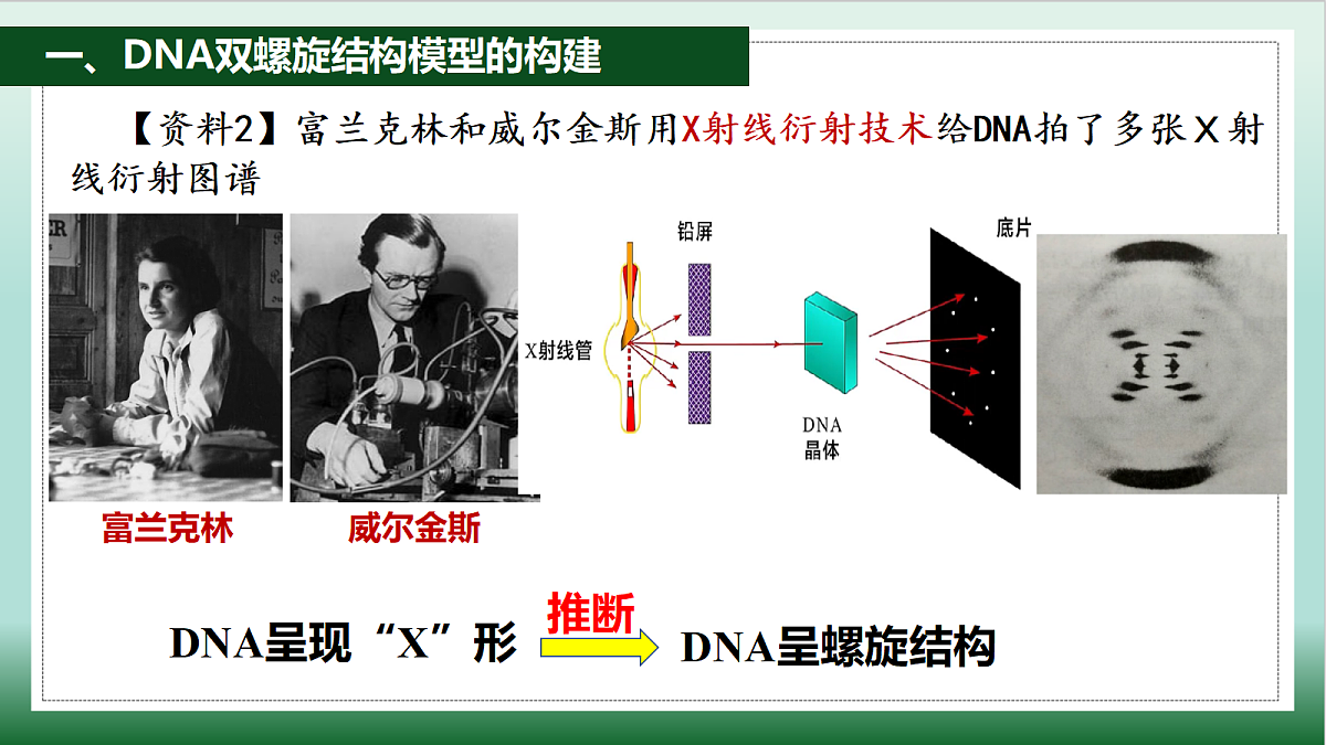 18164874第7页