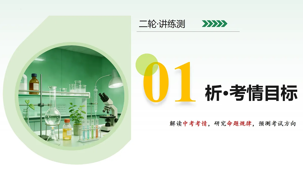 18164889第3页
