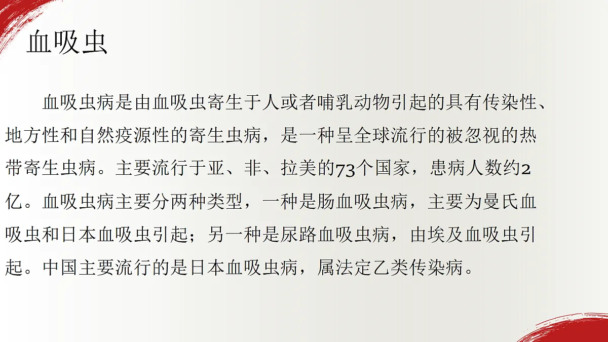 18165419第6页