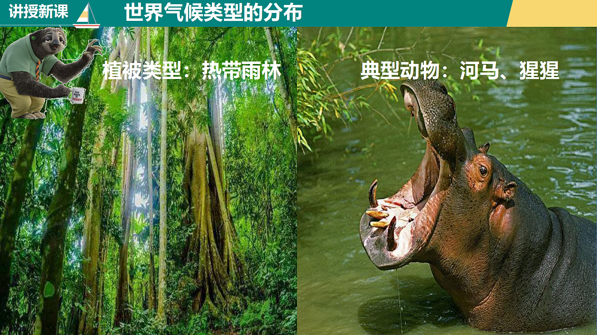18165586第8页