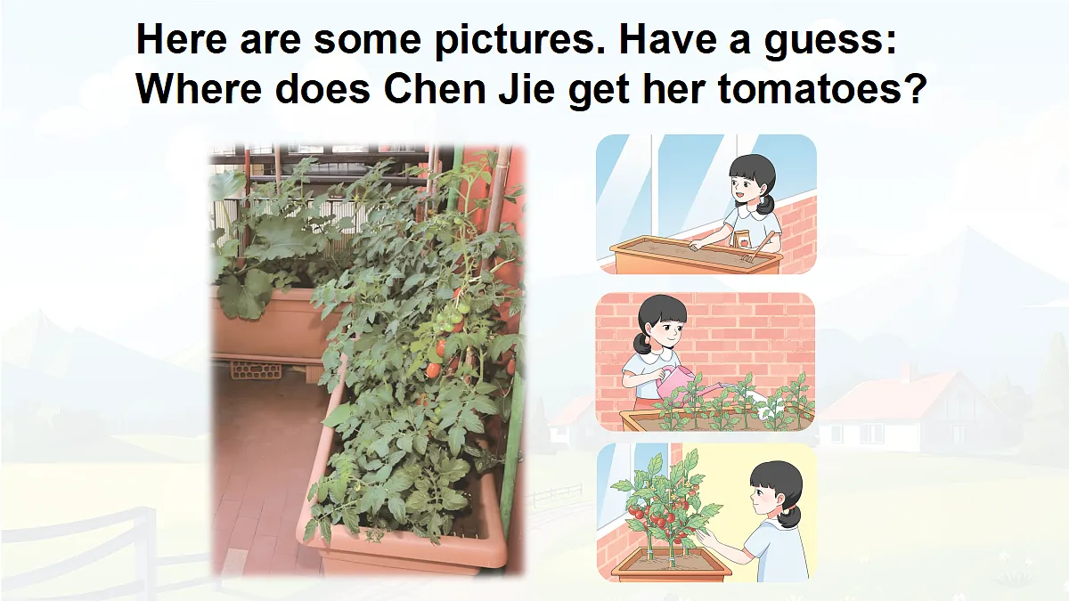 18166355第8页
