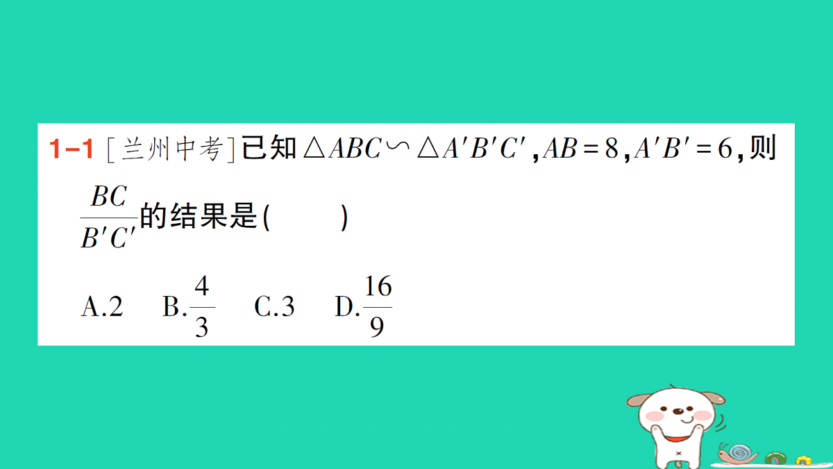 18167713第3页