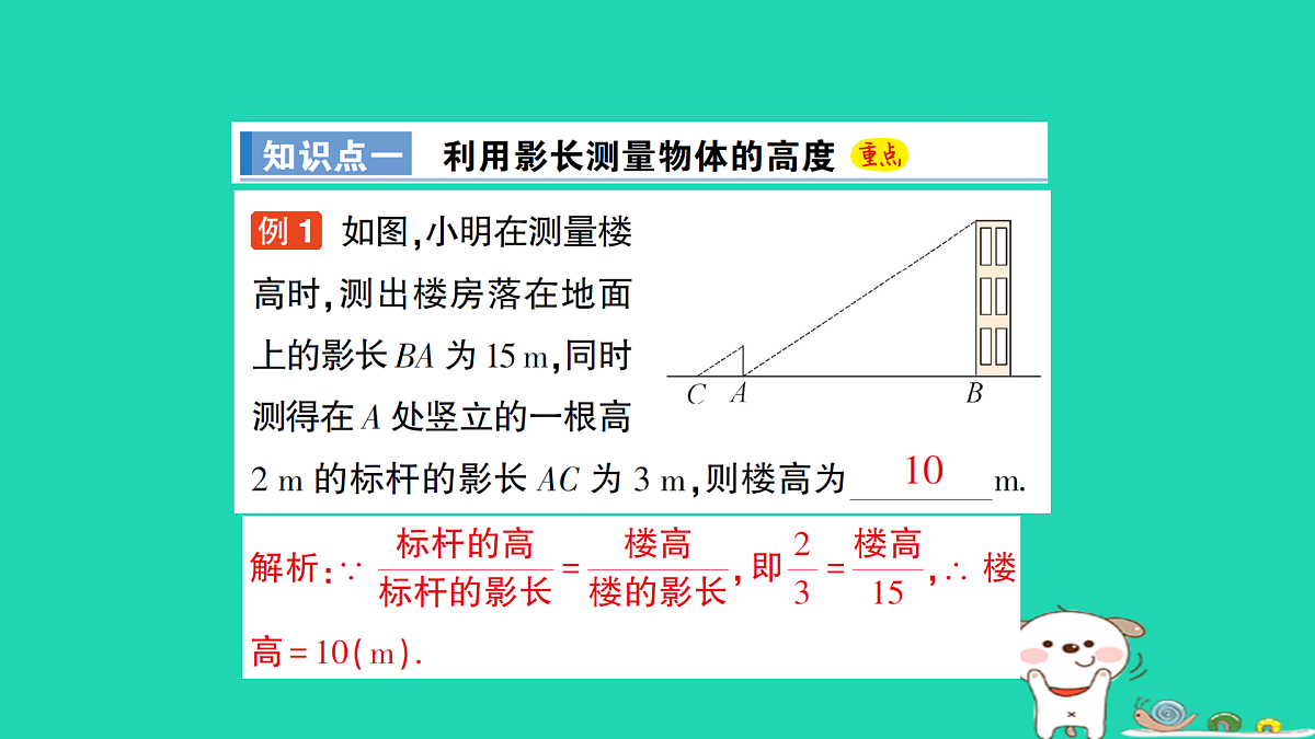18167718第2页