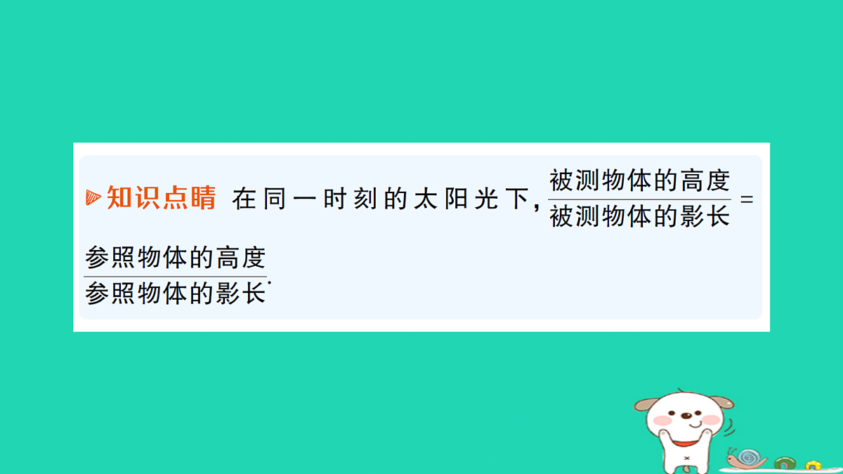 18167718第3页